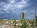 Roca Vecchia - Spiaggetta