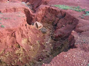 Particolare del terreno