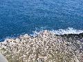 Il mare