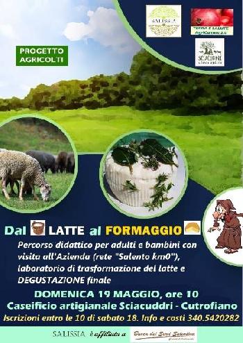 Dal latte al formaggio