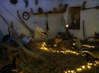 Il Presepe degli Animali Selvatici 