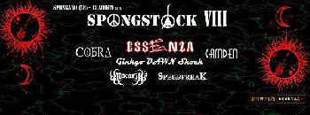spongstock