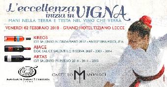 L'eccellenza inizia in vigna