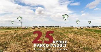 Paduli, terra di ulivi e libertà