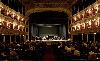 orchestra
