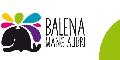 Balena mangialibri