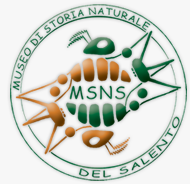 museologo