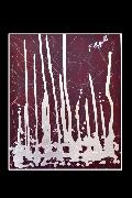Mostra Fabio Cappello
