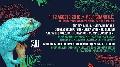 So What Festival