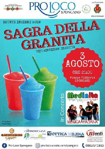 Sagra della granita