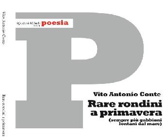 Rare rondini a primavera 