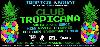 Club Tropicana