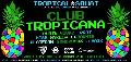 Club Tropicana