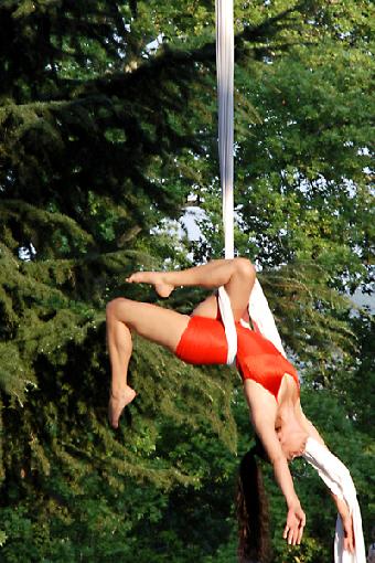 Danza aerea