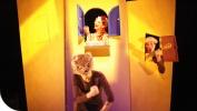 gatto