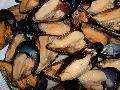 Cozze nere