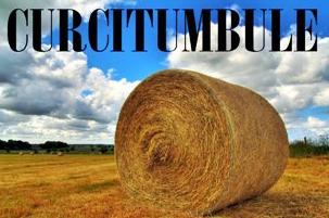 curcitumbule