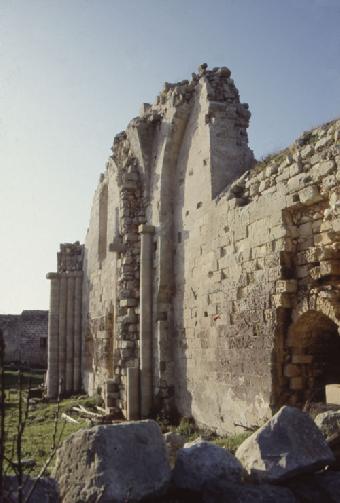 idsalcasole