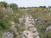 In cammino sulla via Francigena