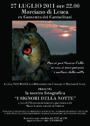 mostra