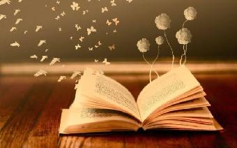 liber libri