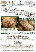 locandina