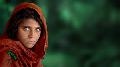 Sharbat Gula