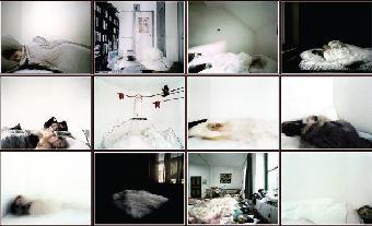 mostra