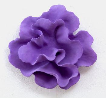 natura selvaggia