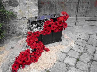 note fiorite