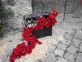 note fiorite