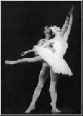 Chloris