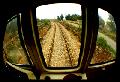 Paesaggio in movimento