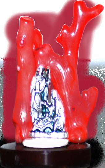 mostra