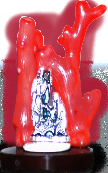 mostra