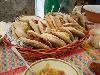 Pucce