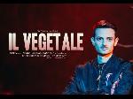 il vegetale 