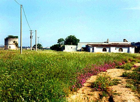 Masseria Pagliara e torre colombaia