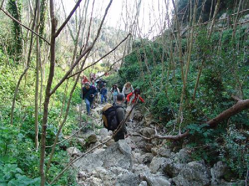 Canale del bosco