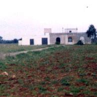 Giardino Piaci