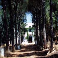 Masseria Bagnara Vecchia