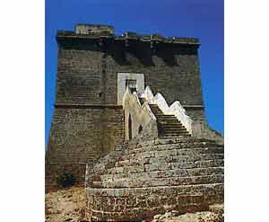 Torre dell'Alto (Foto 1)