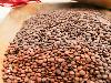 Slow Beans. X Edizione