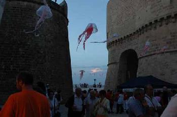 meduse sul mare