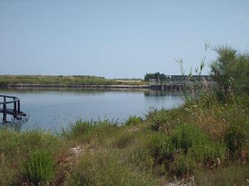 Acquatina di Frigole