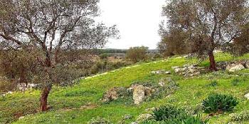 Magnifico scorcio della Serra di Giuggianello