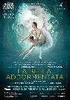 La bella addormentata