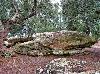 Masso detto "Letto della Vecchia", antica ara pagana.