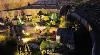 Presepe Anfiteatro