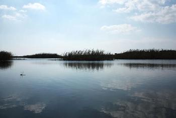 Parco di Ugento